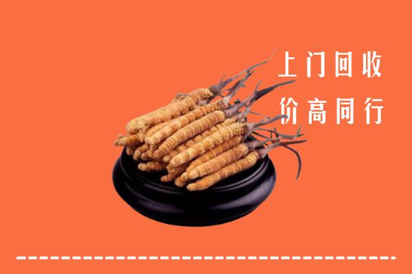 秦皇岛回收散虫草