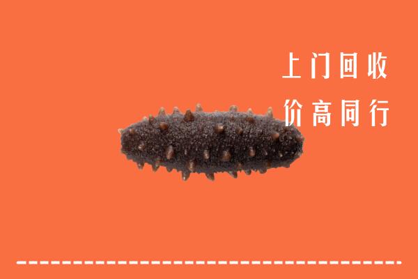 秦皇岛回收海参
