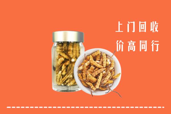 秦皇岛回收冬虫夏草