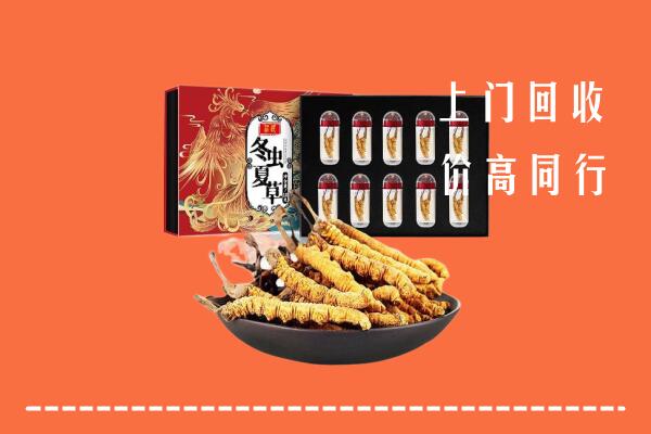 秦皇岛回收虫草